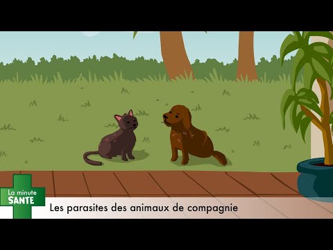 Les parasites des animaux