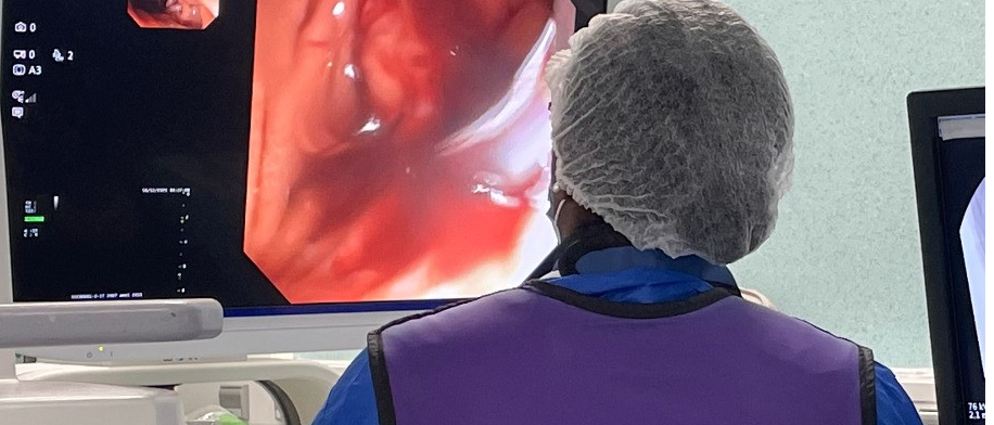 Novembre, un mois crucial pour les internes.